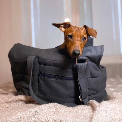 Bagane Sac de transport mode pour chien / chat, gris anthracite Hvor