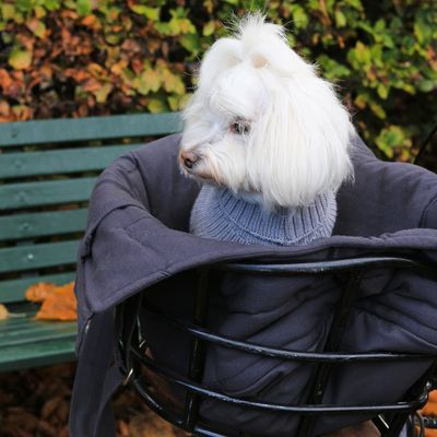 Bagane Sac de transport mode pour chien / chat, gris anthracite Hvor
