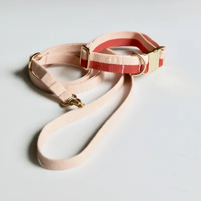 Bagane Collier chien réglable en coton bio avec boucle dorée Smuk Bagane Collier chien réglable en coton bio avec boucle dorée Smuk