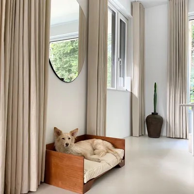Bagane Canapé chien / chat design en bois, coussin moelleux amovible King