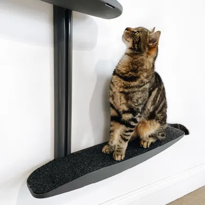 Bagane Arbre à chat mural design 2 plateformes, socle gris Moon Bagane Arbre à chat mural design 2 plateformes, socle gris Moon