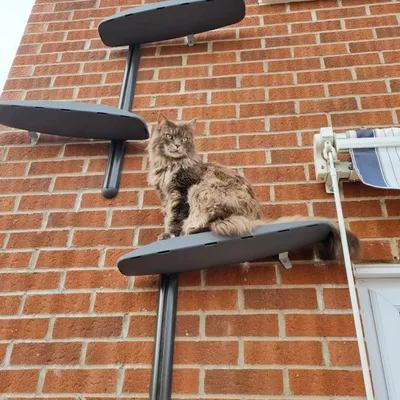 Bagane Arbre à chat mural design 2 plateformes, socle gris Moon