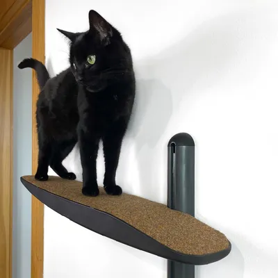 Bagane Arbre à chat mural design 2 plateformes, socle noir Moon