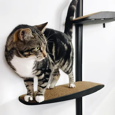 Bagane Grand arbre à chat mural design 4 plateformes socle blanc Moon Plus