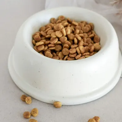 Bagane Gamelle pour chat / petit chien ronde, céramique blanc crème Comer