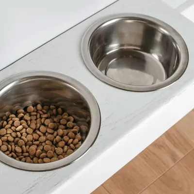 Bagane Set de 2 gamelles surélevées en acier, support mural en bois Dubuo