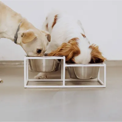 Bagane Set de 2 gamelles surélevées en acier, socle filaire métal Kum