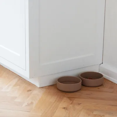 Bagane Gamelle pour chien déco en silicone beige Skal Bagane Gamelle pour chien déco en silicone beige Skal