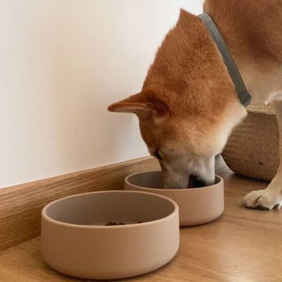 Bagane Gamelle pour chien déco en silicone beige Skal