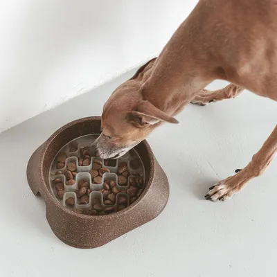 Bagane Gamelle anti-glouton en bioplastique de maïs biodégradable. Suave