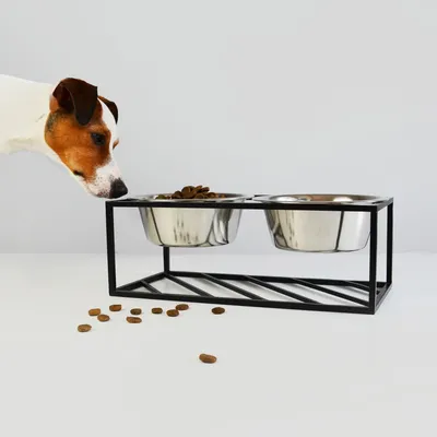 Bagane Set de 2 gamelles surélevées en acier, socle filaire métal Kum
