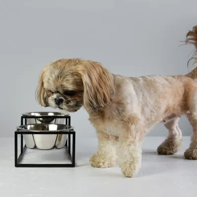 Bagane Set de 2 gamelles surélevées en acier, socle filaire métal Kum