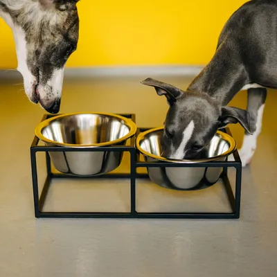 Bagane Set de 2 gamelles surélevées en acier, socle filaire métal Kum