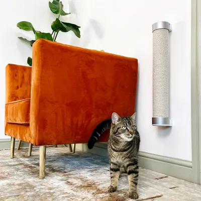 Bagane Joli griffoir chat mural en sisal Sovecanap Bagane Joli griffoir chat mural en sisal Sovecanap