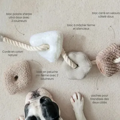 Bagane Jouet d'occupation pour chien, set de 4 blocs à mâcher Bloocs Bagane Jouet d'occupation pour chien, set de 4 blocs à mâcher Bloocs