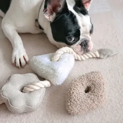 Bagane Jouet d'occupation pour chien, set de 4 blocs à mâcher, Bloocs Bagane Jouet d'occupation pour chien, set de 4 blocs à mâcher, Bloocs