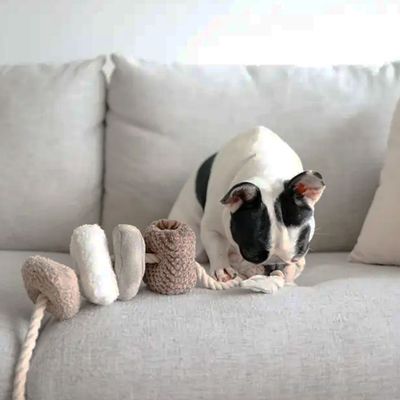 Bagane Jouet d'occupation pour chien, set de 4 blocs à mâcher Bloocs