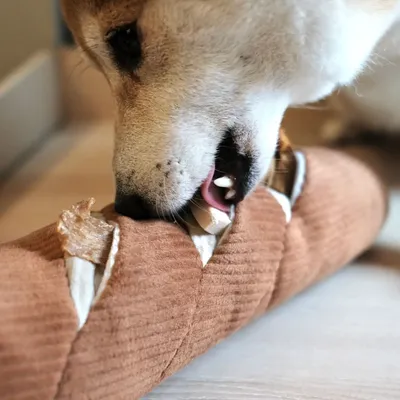 Bagane Jouet d'occupation pour chien avec poches à friandises Baguette Bagane Jouet d'occupation pour chien avec poches à friandises Baguette