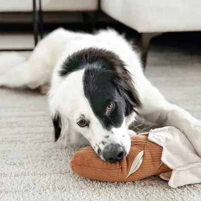 Bagane Jouet d'occupation pour chien avec poches à friandises Baguette