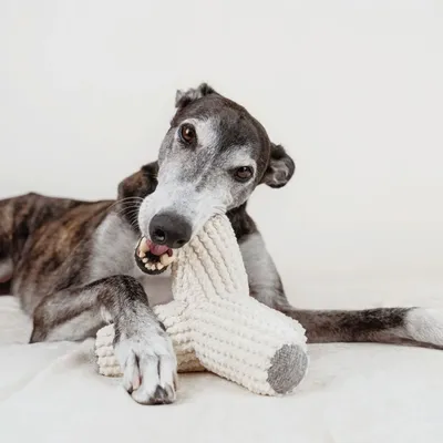 Bagane Jouet pour chien avec couineurs, forme tétrapode Breuuer