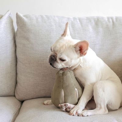 Bagane Jouet pour chien avec poches friandises, forme butternut Butt
