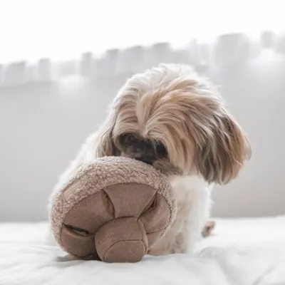 Bagane Jouet d'occupation pour chien, forme champignon Guu