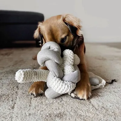 Bagane Jouet d'occupation pour chien à nouer avec couineurs Noucoo Bagane Jouet d'occupation pour chien à nouer avec couineurs Noucoo