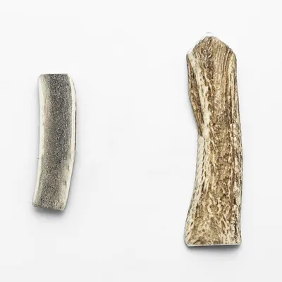 Bagane Bois de cerf pour chien naturel fendu à mâcher Jaja