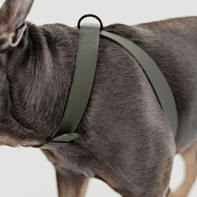 Bagane Harnais pour chien en 8, réglable et imperméable. Mellem