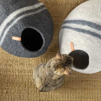 Bagane Grotte chat design galet en feutre de laine Dunga