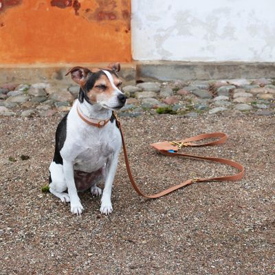 Bagane Laisse réglable à poignée en coton bio, finition dorée Smuk