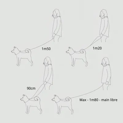 Bagane Laisse imperméable avec mousqueton aviation en métal noir Mellem Bagane Laisse imperméable avec mousqueton aviation en métal noir Mellem