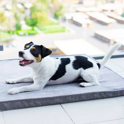 Bagane Tapis chien confortable en tissu gris clair Namaste Bagane Tapis chien confortable en tissu gris clair Namaste