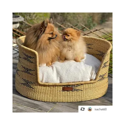 Bagane Panier design chien / chat en herbe naturelle, géométrique Bora