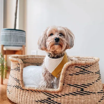 Bagane Panier design chien / chat en herbe naturelle, géométrique Bora