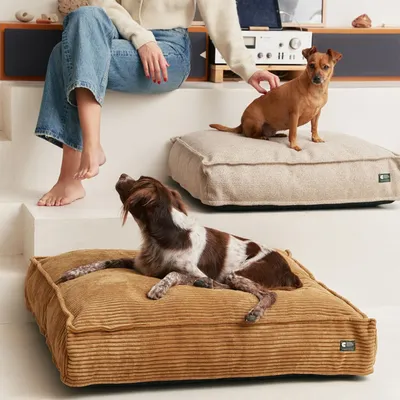 Bagane Lit pour chien / chat, déhoussable en velours côtelé bronze Quattro
