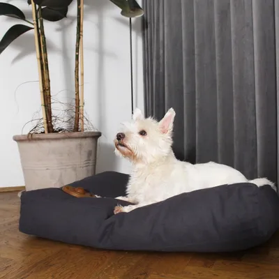 Bagane Coussin pour chien moelleux, en coton bio gris anthracite Hvad