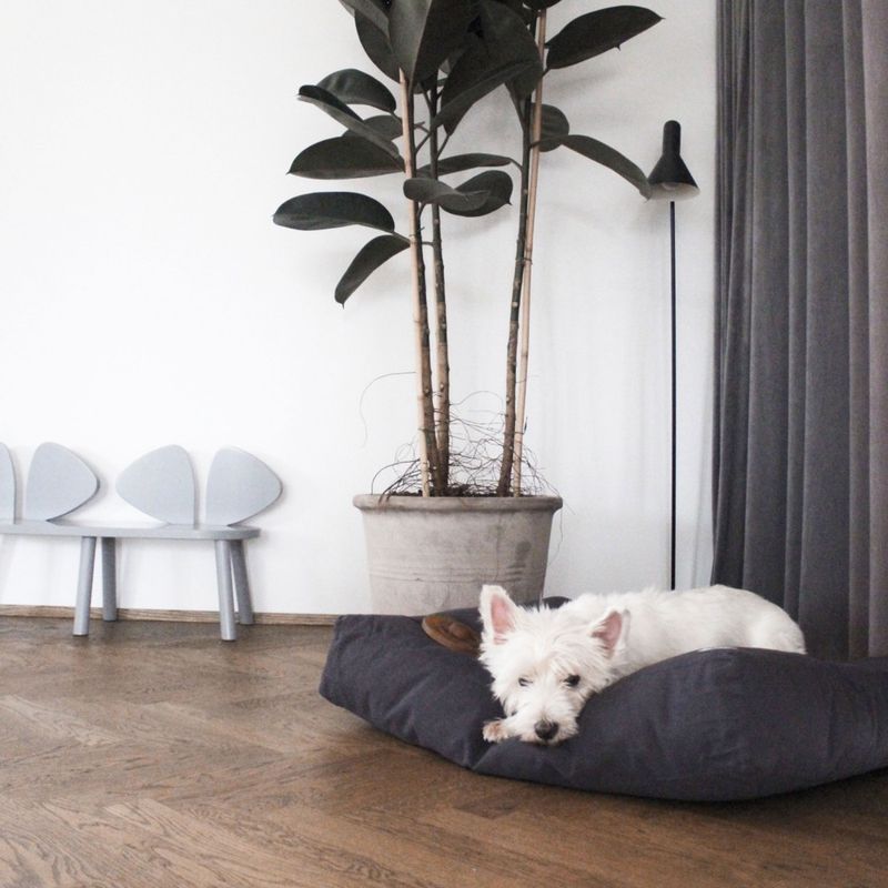 Bagane Coussin pour chien moelleux, en coton bio gris anthracite Hvad