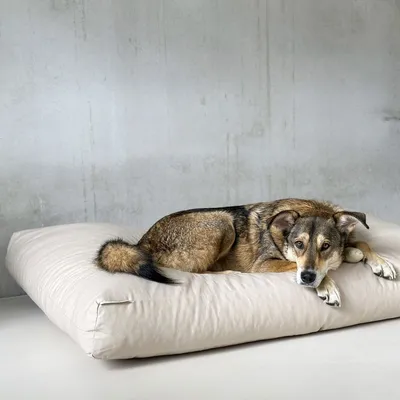 Bagane Coussin chien à mémoire de forme, déhoussable en tissu vanille Star