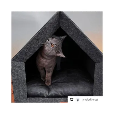 Bagane Niche d'intérieur chien / chat, design et écologique, gris Sanka