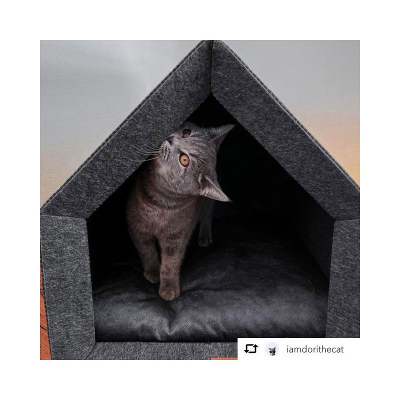 Bagane Niche d'intérieur chien / chat, design et écologique, gris Sanka