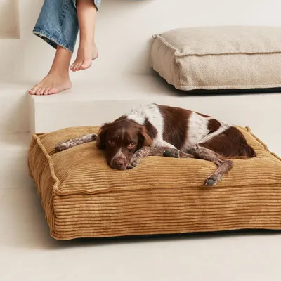 Bagane Lit pour chien / chat, déhoussable en tissu beige Quaddra