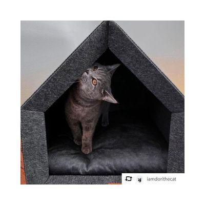 Bagane Niche d'intérieur chien / chat, design et écologique, gris Sanka