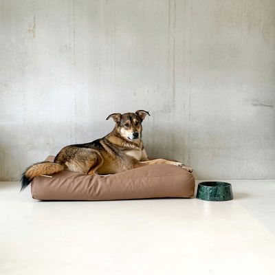 Bagane Coussin chien à mémoire de forme, déhoussable en tissu mocca Star