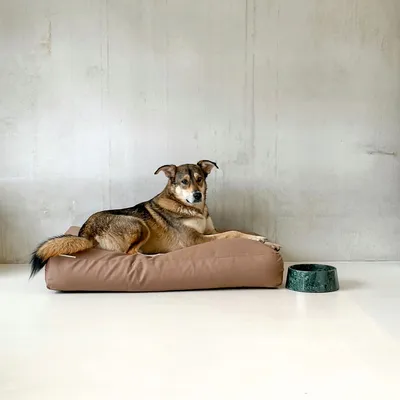 Bagane Coussin chien à mémoire de forme, déhoussable en tissu mocca Star