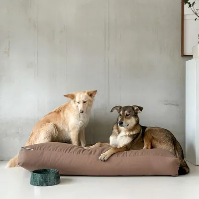 Bagane Coussin chien à mémoire de forme, déhoussable en tissu mocca Star