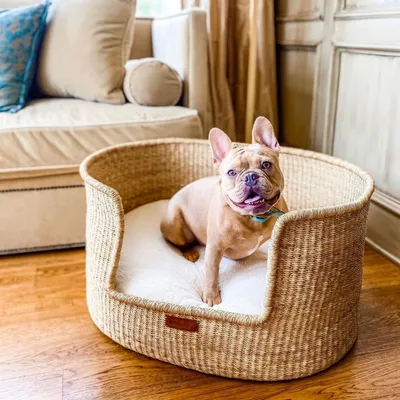 Bagane Panier design pour chien / chat en herbe naturelle Frafra