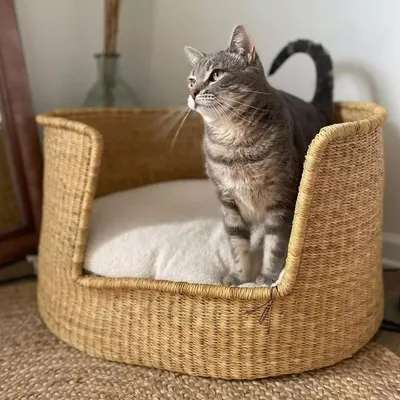 Bagane Panier design pour chien / chat en herbe naturelle Frafra