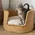 Bagane Panier design pour chien / chat en herbe naturelle Frafra