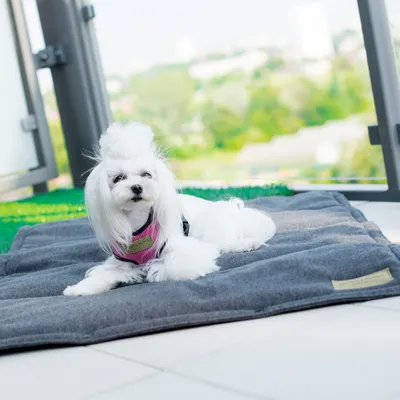 Bagane Tapis de voyage pour chien pliable en tissu gris anthracite Sarna